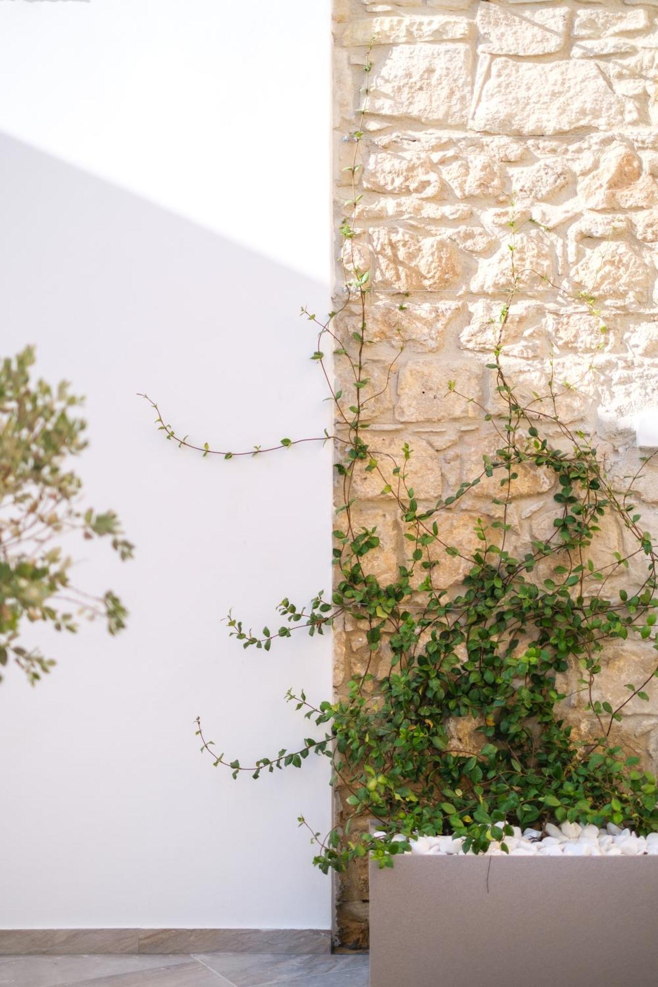 Royal Stay Luxury Homes Paphos Exterior foto
